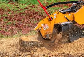 Best Tree Preservation Services  in Lakeview, CA